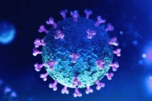 Verhaltensregeln während Covid19